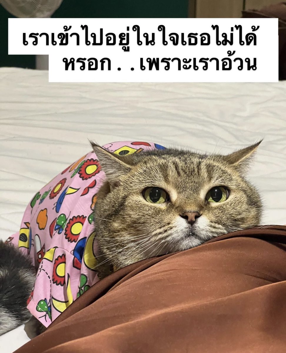 egg_family4's tweet photo. https://t.co/MyQm3FnQPt