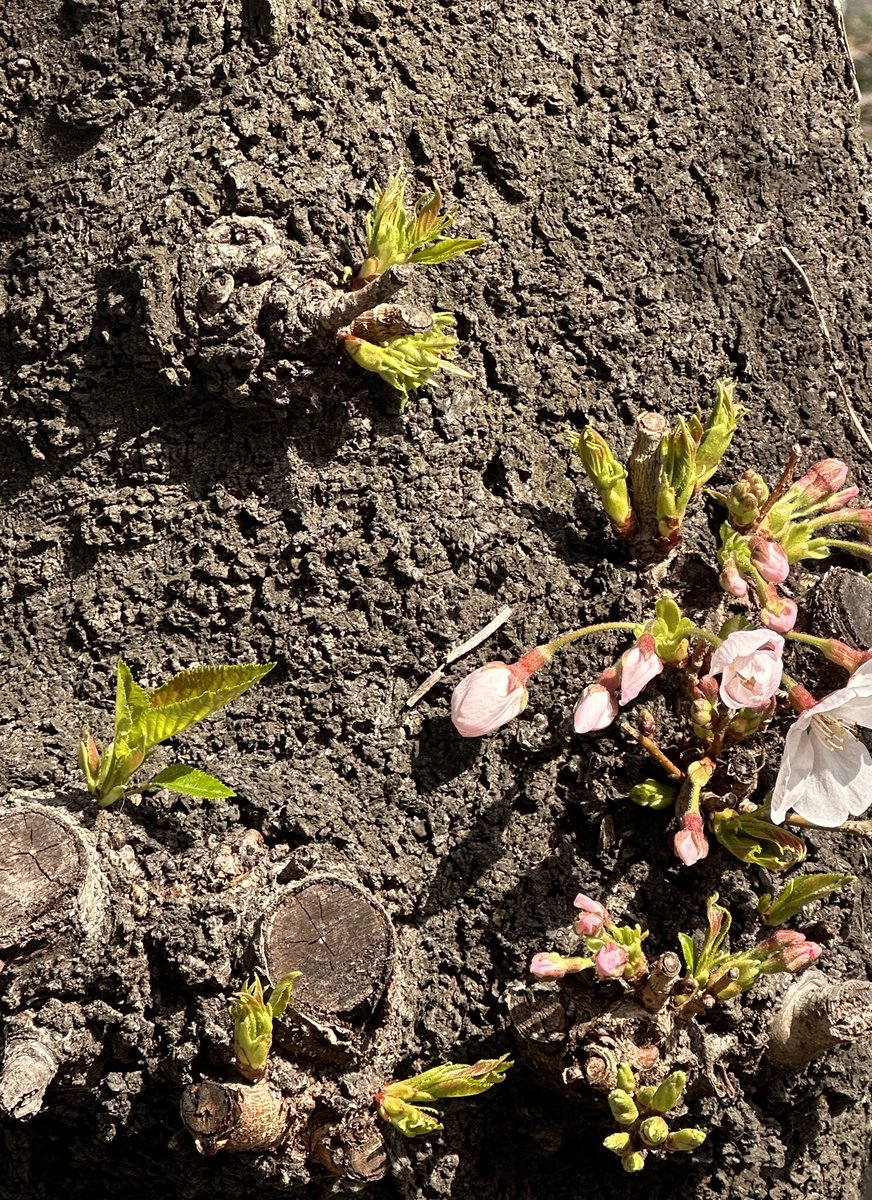 薮宏太 tweet media