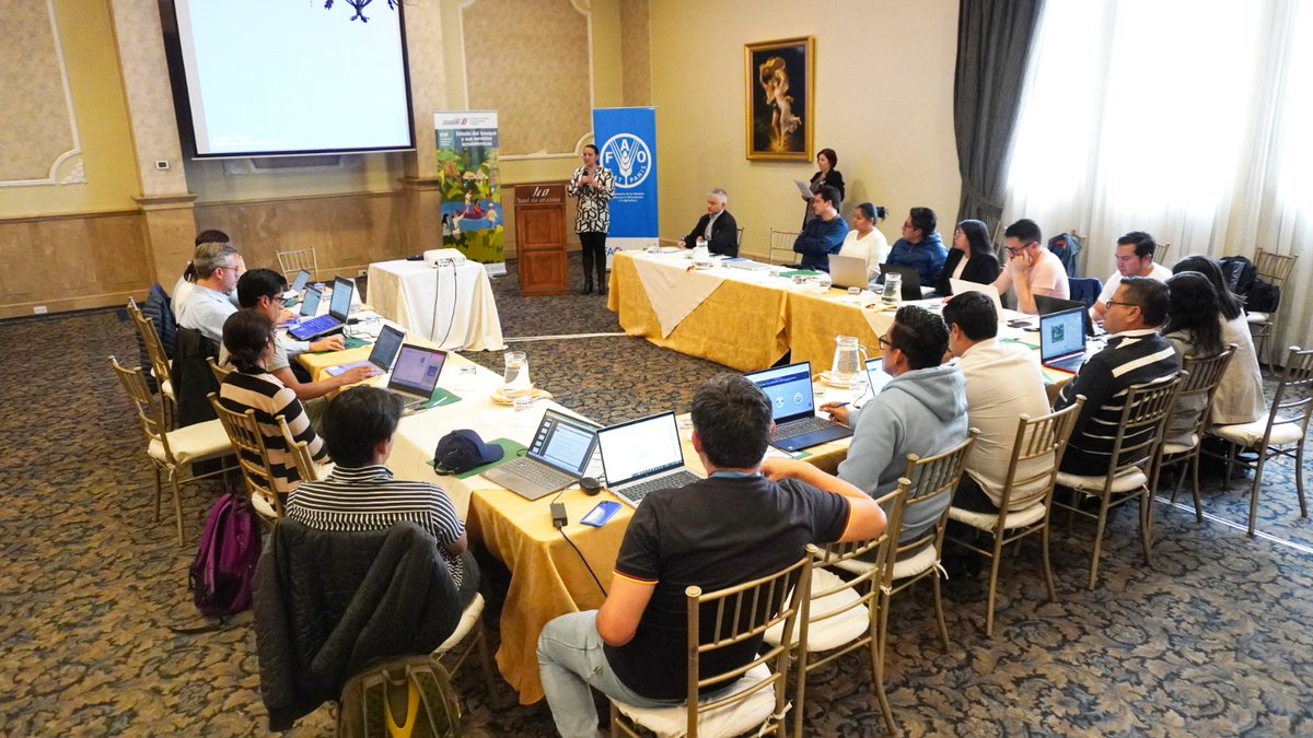 FAO Ecuador (@faoecuador) on Twitter photo 📢 Inició la capacitación en Open Foris Arena, herramienta que busca optimizar el monitoreo de los bosques entre otras necesidades relacionadas a la Gestión Forestal del 🇪🇨 . Durante su intervención <a href="/ZarateB_Erika/">Erika Zárate Baca</a> de <a href="/FAOEcuador/">FAO Ecuador</a>, destacó la importancia de estas innovaciones. 📢 Inició la capacitación en Open Foris Arena, herramienta que busca optimizar el monitoreo de los bosques entre otras necesidades relacionadas a la Gestión Forestal del 🇪🇨 . Durante su intervención <a href="/ZarateB_Erika/">Erika Zárate Baca</a> de <a href="/FAOEcuador/">FAO Ecuador</a>, destacó la importancia de estas innovaciones.
