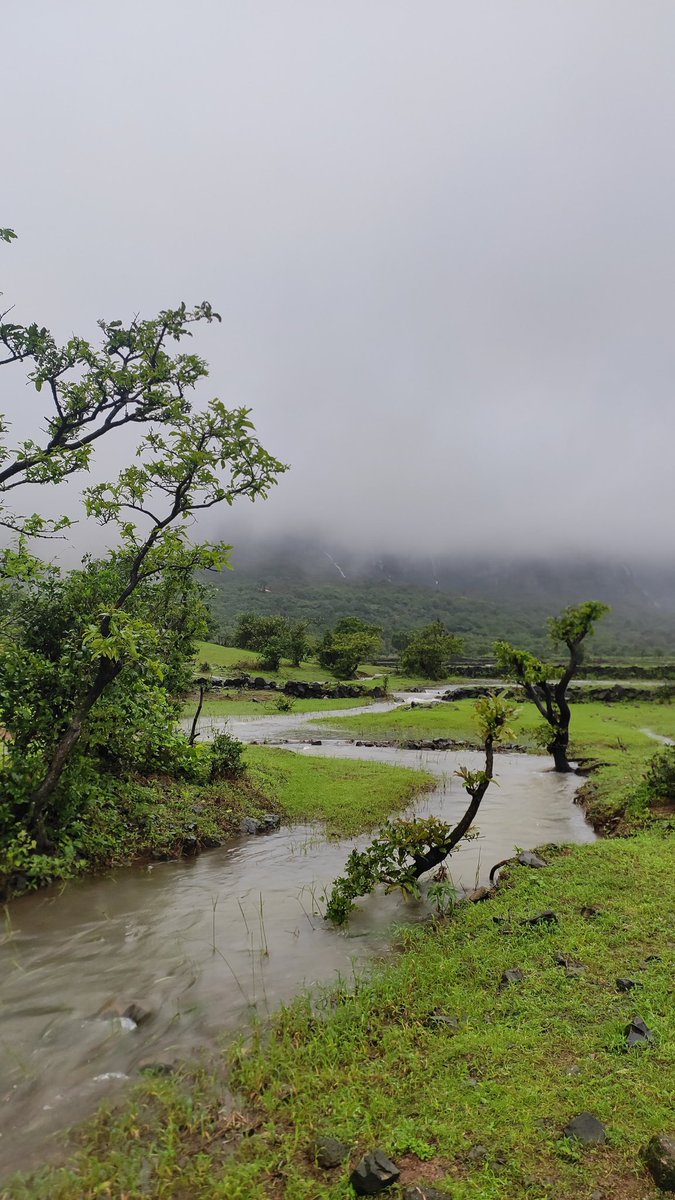 Can I call you back? I'm watching a live stream :p