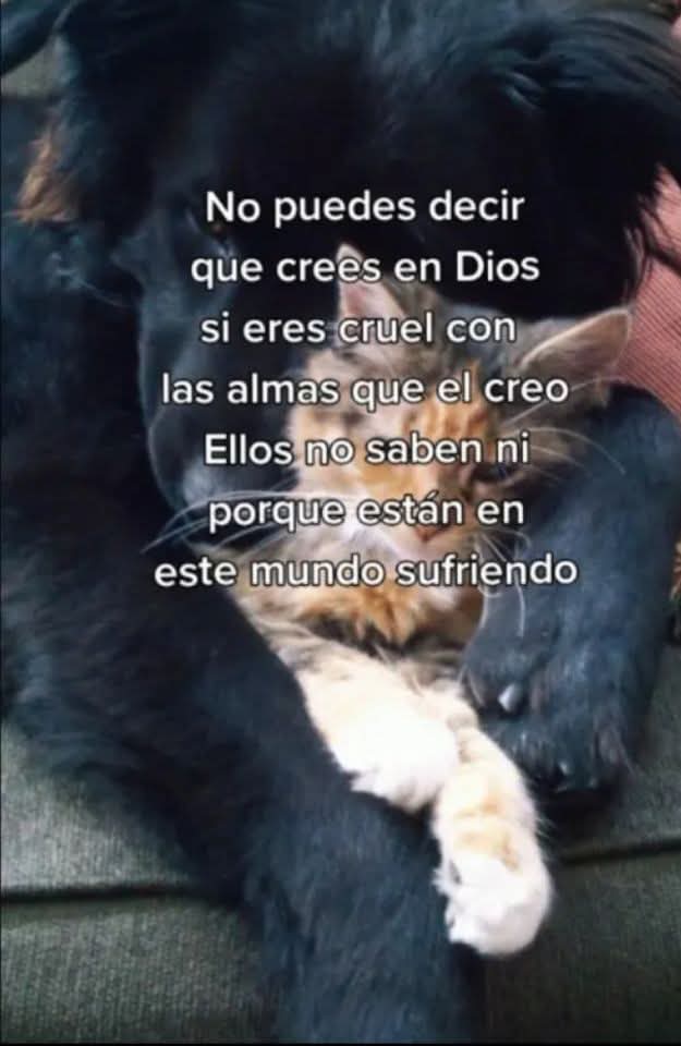 Derly Acevedo Hoyos tweet media