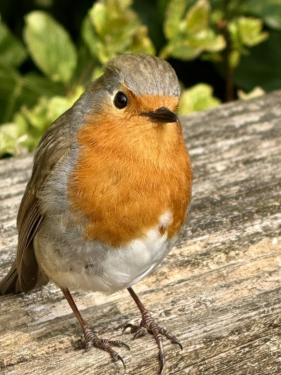 John Govier (@johngovier) on Twitter photo 