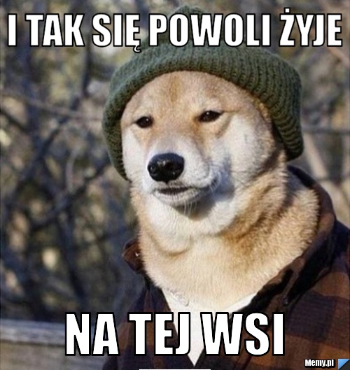 Znowu nie ma o czym pisać... Widzimy się w play-offach czy coś.

⚔️ Wyniki spotkań w ARRMY Open S12

◾️ Dark Knights 13:4 AIMBOT AMIGOS (Anubis)
◾️ Dark Knights 13:10 Los Inwalidos (Ancient)

Partnerzy: 
<a href="/Axidepl/">Axide.pl</a> <a href="/Apicardpl/">Apicard Gaming</a>