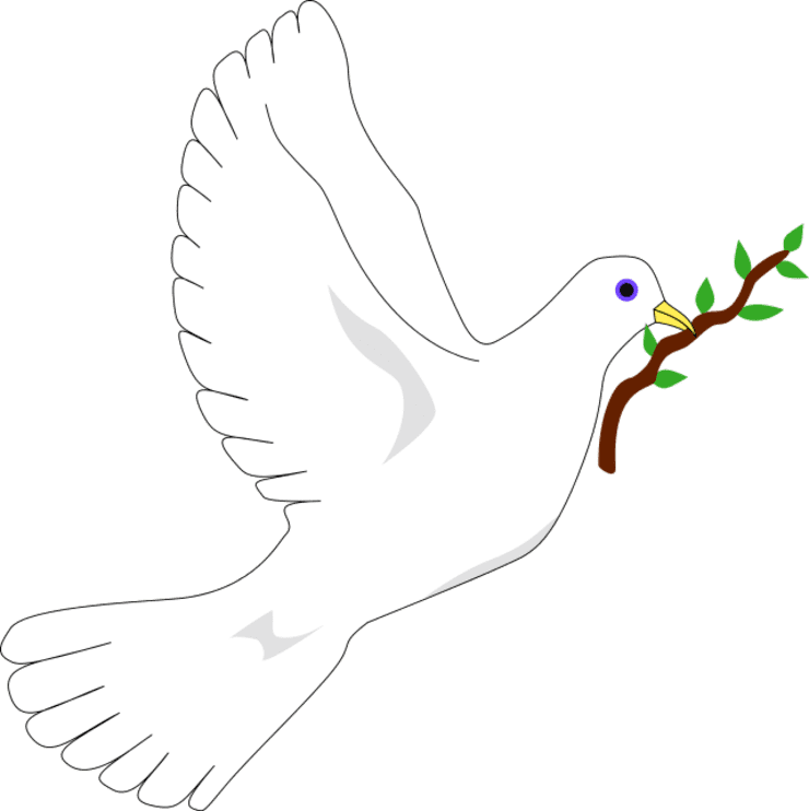 nlandumagloire1's tweet photo. La guerre ne se résout pas par un surarmement ou par un surrecrutement des militaires,la guerre se résout par la négociation,par des discussions. Ceux qui ne veulent pas de la paix qui sont des lâches.
Je suis pour la paix qui donnera lieu à un Congo prospère. https://t.co/J1hw7vGmbX