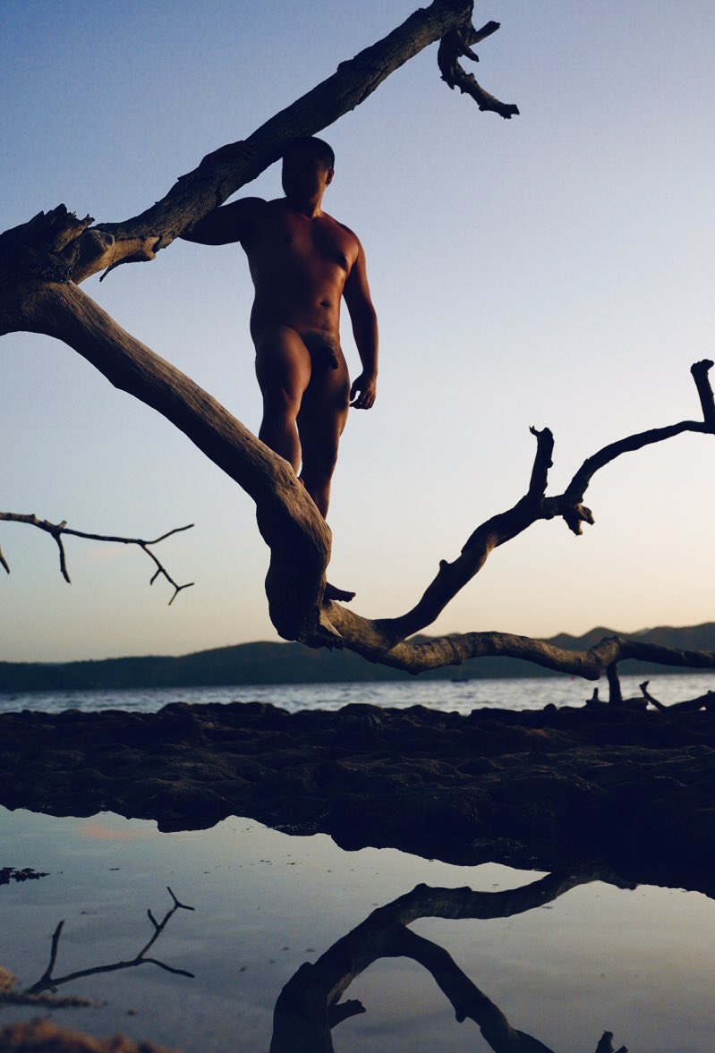 HACHI tw (@hachihachitw) on Twitter photo 