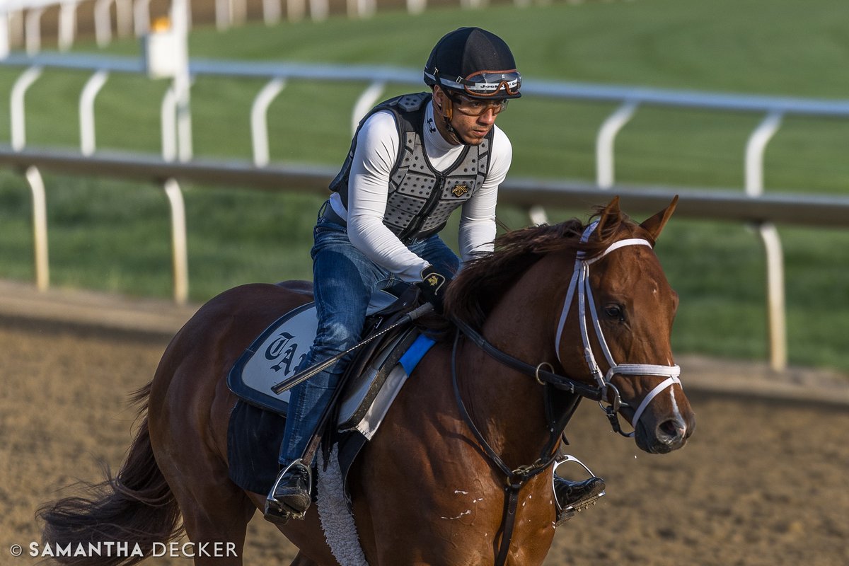 sdeckerphoto's tweet image. Disruptor is entered in the Florida Derby. If he wins, it will be the 3rd straight win in the race for @PletcherRacing &amp;amp; owner @RepoleStable. Disruptor is also owned by @spendthriftfarm,Big Easy Racing,Titletown Racing,Winners Win,Golconda Stable,Ali Goodrich,&amp;amp; Mark Parkinson.