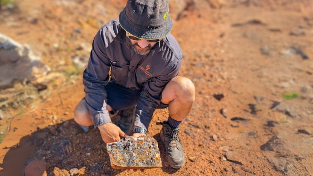 Our Mangaroon project just got even bigger! Our latest announcement confirms more ground secured, more gold potential, and drilling just around the corner. Read more:
dreadnoughtresources.com.au/announcements/…