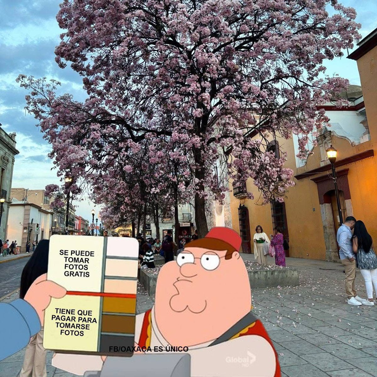 FPR_OAXACA's tweet photo. Los memes que salieron por la regulación para tomar fotos en el centro de la Ciudad de Oaxaca 

Muchos compran sus equipos sin ser necesariamente profesionales, ¿Cómo se identificarán los casos? ¿Se prestará a una nueva forma de corrupción?
La medida no es nueva. https://t.co/ROUca6XYkB