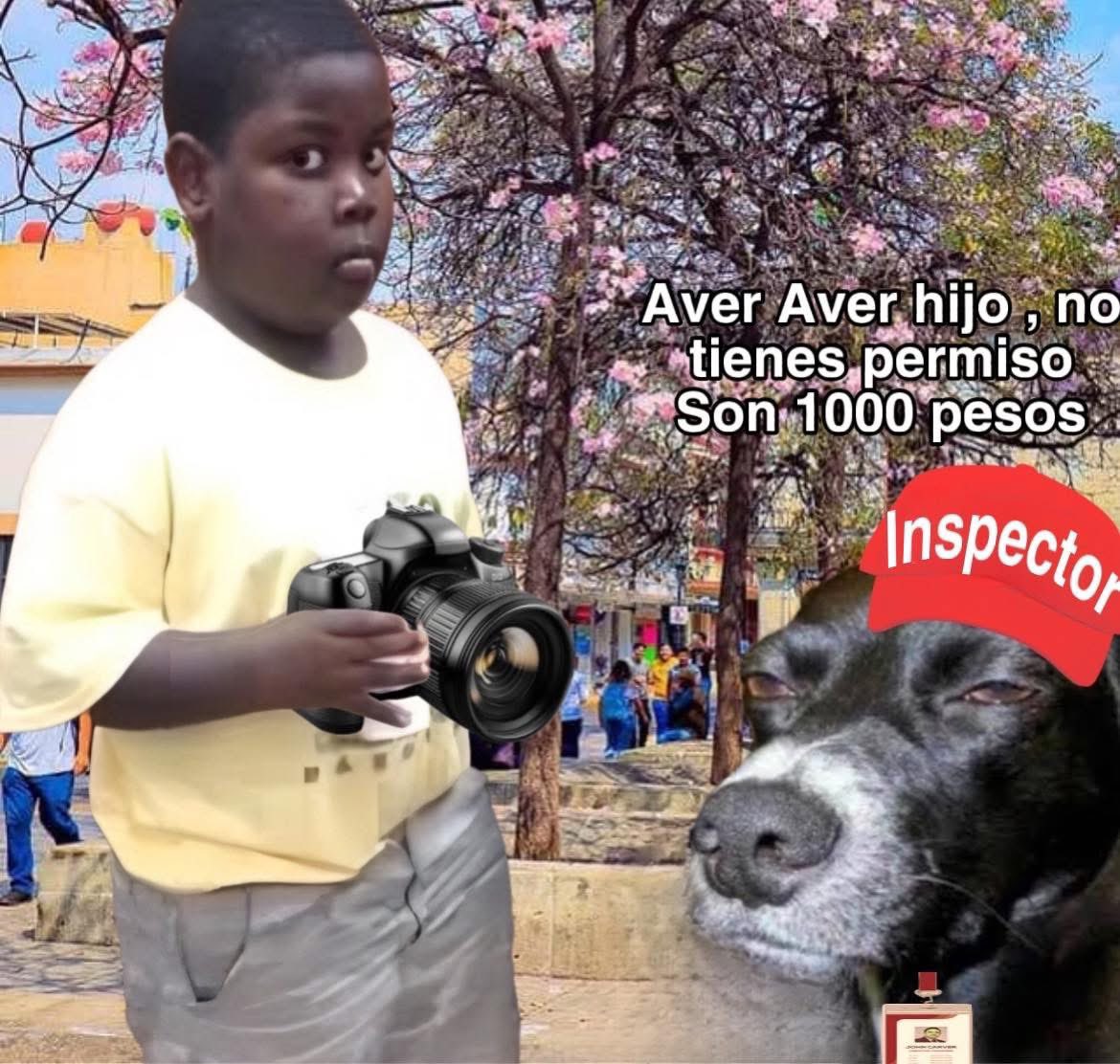 FPR_OAXACA's tweet photo. Los memes que salieron por la regulación para tomar fotos en el centro de la Ciudad de Oaxaca 

Muchos compran sus equipos sin ser necesariamente profesionales, ¿Cómo se identificarán los casos? ¿Se prestará a una nueva forma de corrupción?
La medida no es nueva. https://t.co/ROUca6XYkB