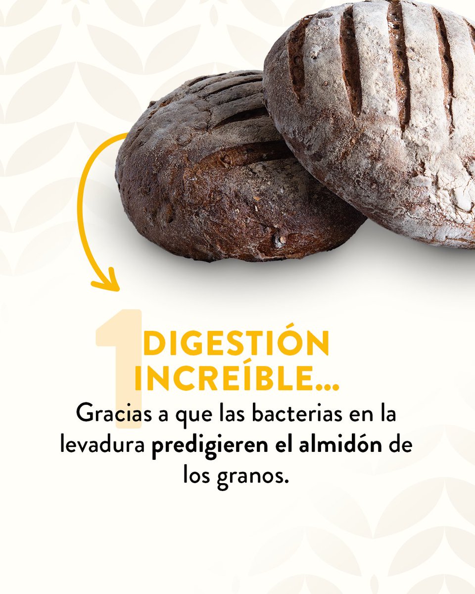 LPQMX's tweet image. 🥖🍞🫓 Si aún no has probado nuestro pan de masa madre, aquí tienes 4 razones para hacerlo: 

#LePainQuotidien #DisfrutaLoCotidianoDeLaVida