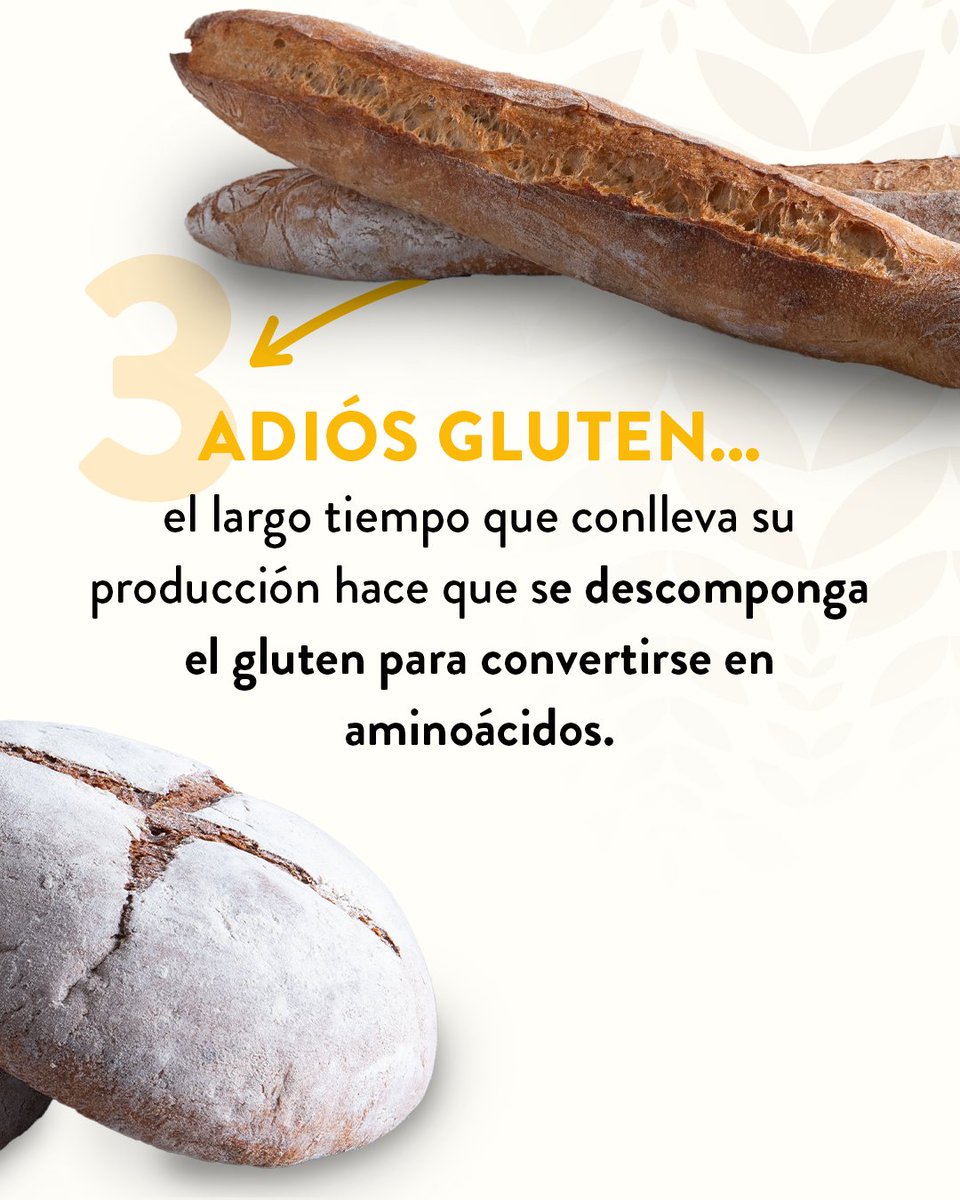 LPQMX's tweet image. 🥖🍞🫓 Si aún no has probado nuestro pan de masa madre, aquí tienes 4 razones para hacerlo: 

#LePainQuotidien #DisfrutaLoCotidianoDeLaVida
