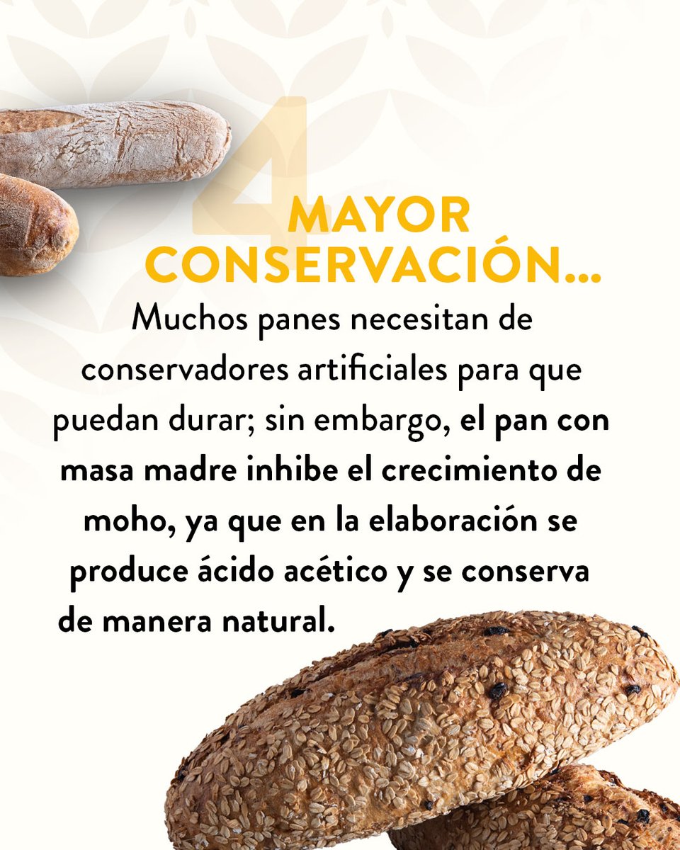 LPQMX's tweet image. 🥖🍞🫓 Si aún no has probado nuestro pan de masa madre, aquí tienes 4 razones para hacerlo: 

#LePainQuotidien #DisfrutaLoCotidianoDeLaVida