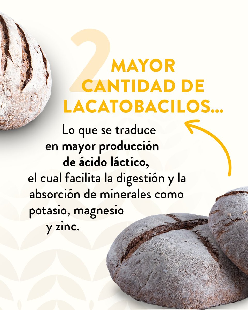 LPQMX's tweet image. 🥖🍞🫓 Si aún no has probado nuestro pan de masa madre, aquí tienes 4 razones para hacerlo: 

#LePainQuotidien #DisfrutaLoCotidianoDeLaVida