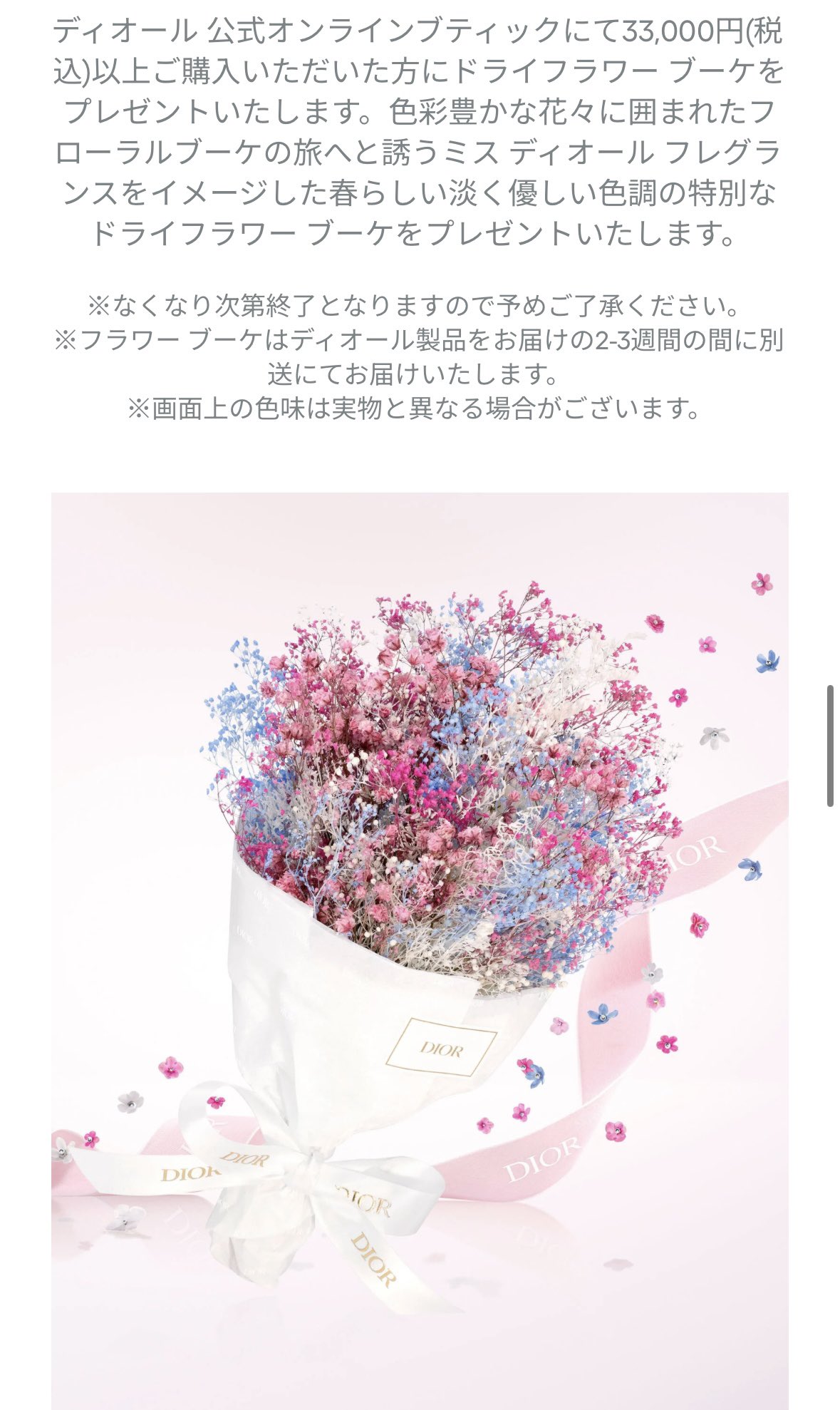 新品未使用♡Dior 花と蝶刺繍 ラウンドポーチ　母の日ギフト Bibian 比比昂 - 未使用2025最新 母の日限定ノベルティ！Dior