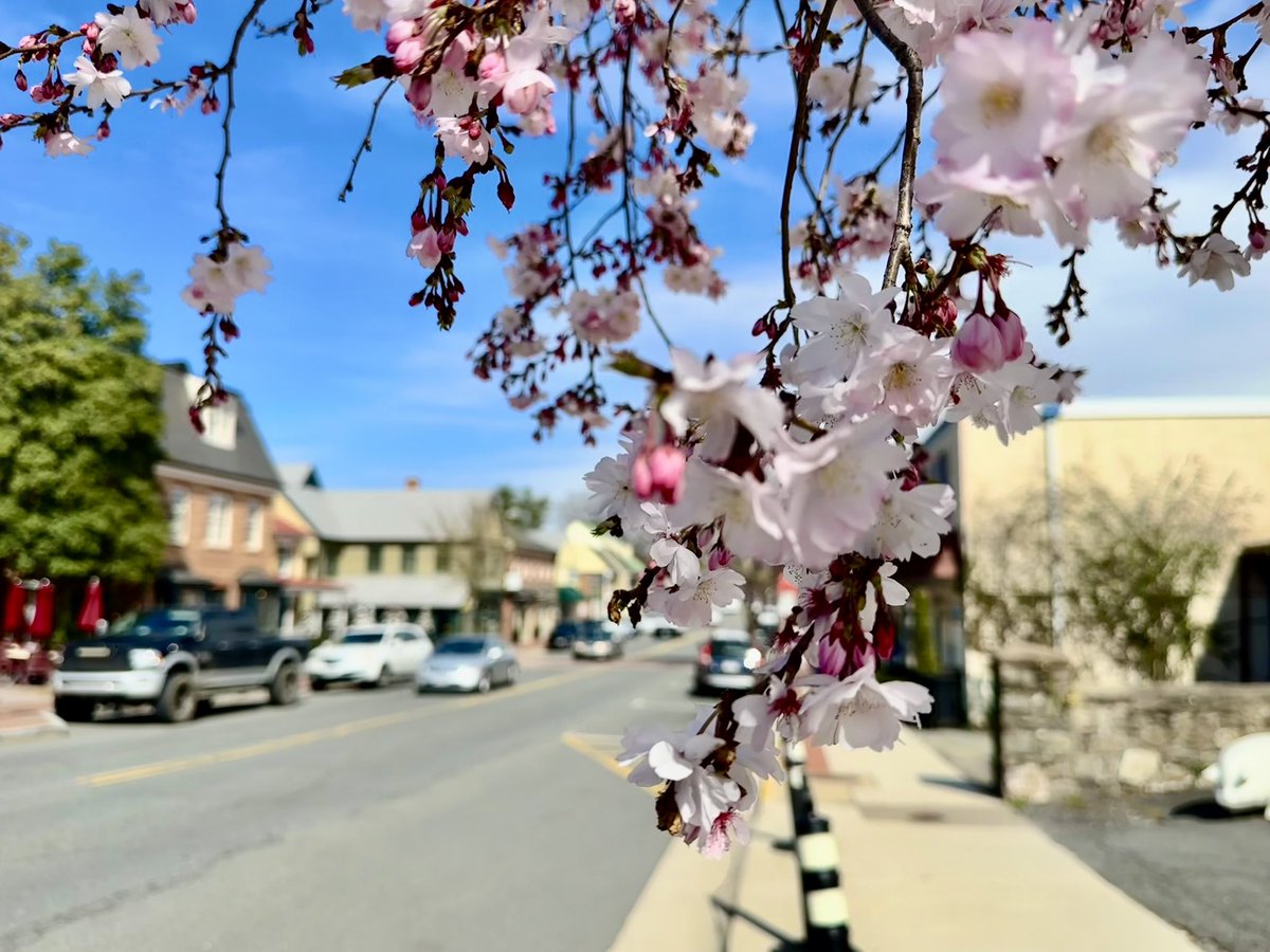 susantran's tweet photo. #83/365 Grateful for exploring #NoVa!!! #Middleburg. Eat local steak!! Bought local art and chatted with local folks! #RedFoxInn #CremeDelaCreme #ArtistsInMiddleburg #KSOB #Gratitude2025 https://t.co/KaEWEKOyiH