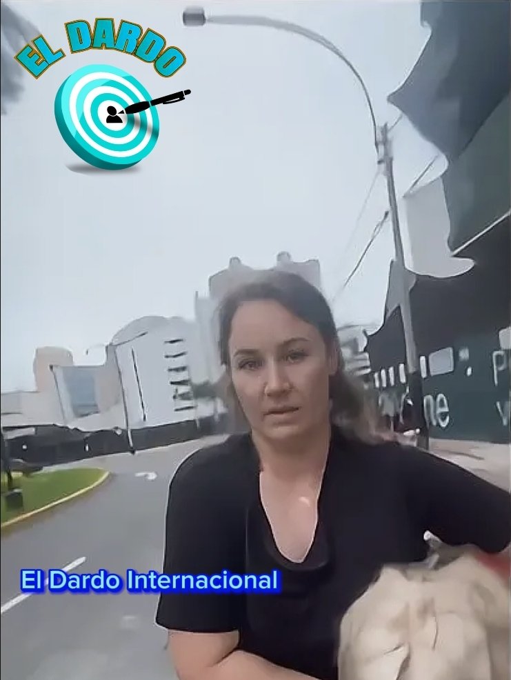 El DARDO - Noticias tweet media