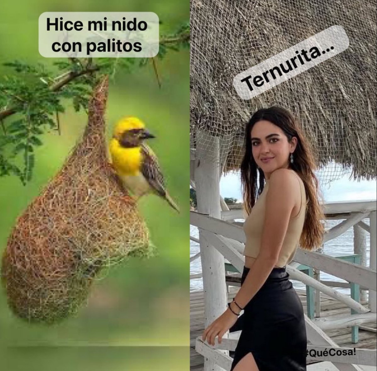 Mientras tanto la #PutonaDelBienestar 🫰🏻