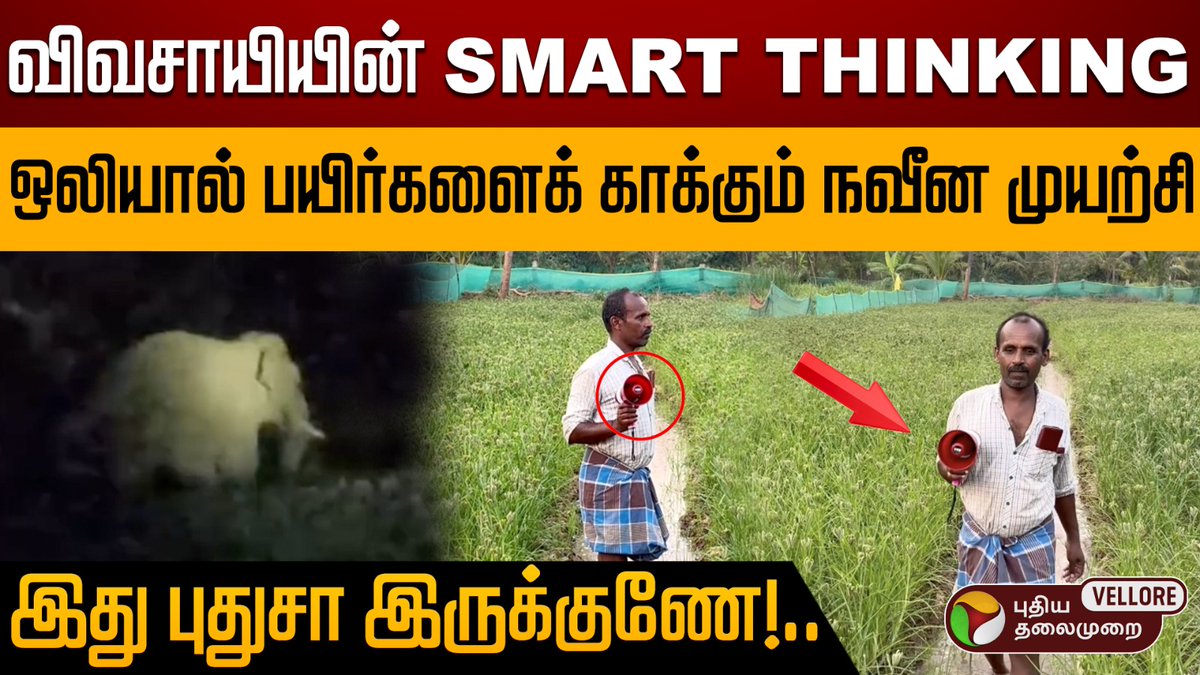 PtVellore's tweet image. விவசாயியின் SMART THINKING..ஒலியால் பயிர்களைக் காக்கும் நவீன முயற்சி | New Farming Methods

Check out the full video👉youtu.be/FRAAn4Mk5j8?si…

#WildlifeProtection #FarmInnovation #CropSecurity #FarmersAgainstWildlife #ElephantControl #ptvellore