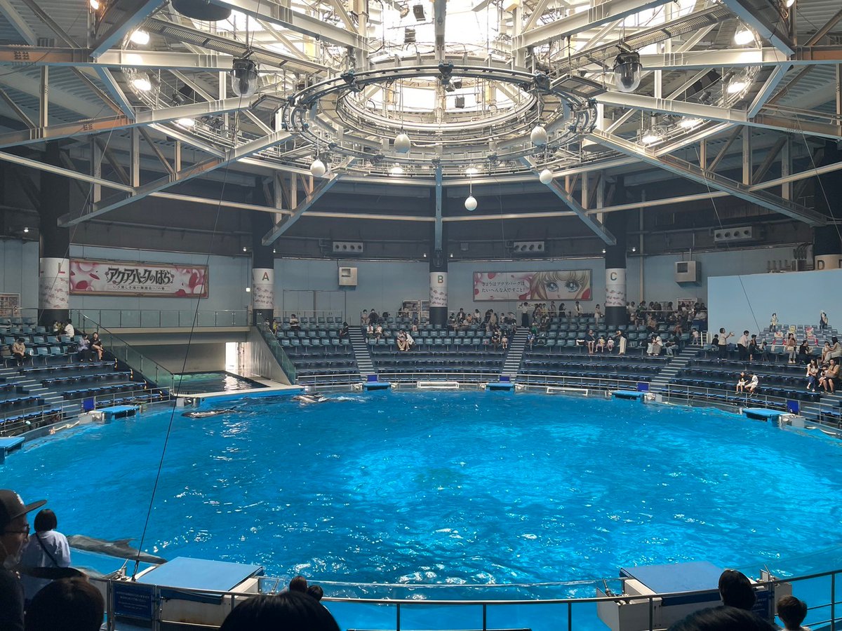 EllieJapan2022's tweet photo. Such a big bool and penguins look sad.
#aquariumhobby #bigpool #penguin #FamilyTime #Tokyo #Japan #Shinagawa #品川 https://t.co/ixJUpuYccj