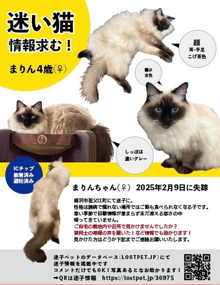 チラシ付きカラーコーン設置にご協力くださる方募集しています！

2/9から迷子のまりん捜索の為
ポスターを貼り出してくださる方、またはチラシ付きのカラーコーンを置く40cm×40cmの場所を貸してくださる方を募集しおります！！

稲沢市全域、稲沢市に隣接する一宮市、愛西市