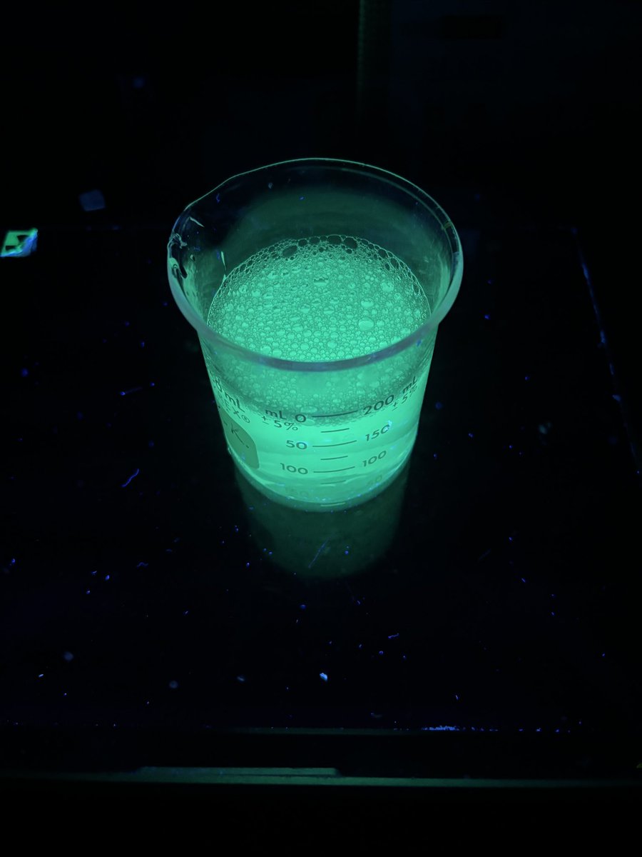 If it ain’t green and glow in the dark it ain’t science. Leftovers from #fluorescent protein #mClover3 purification. #AcademicTwitter