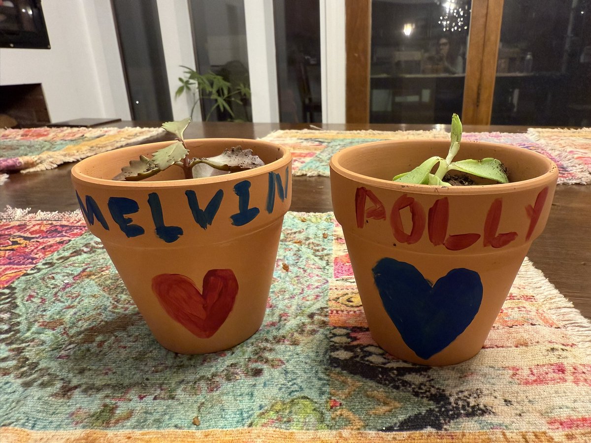 Introducing Melvin and Polly! I promise to give them a good start! ❤️💙