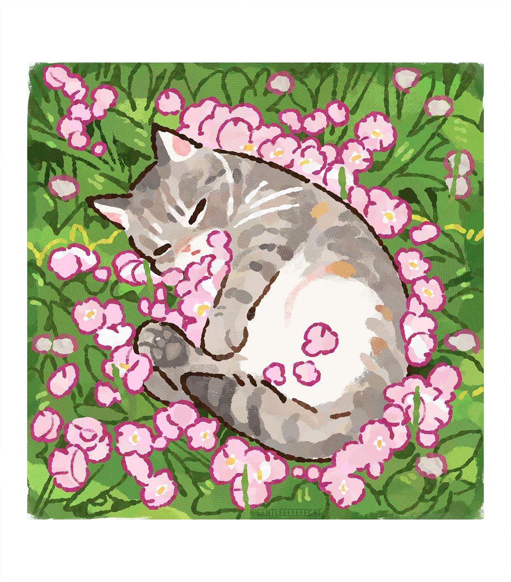 Content from tatsui.tyan