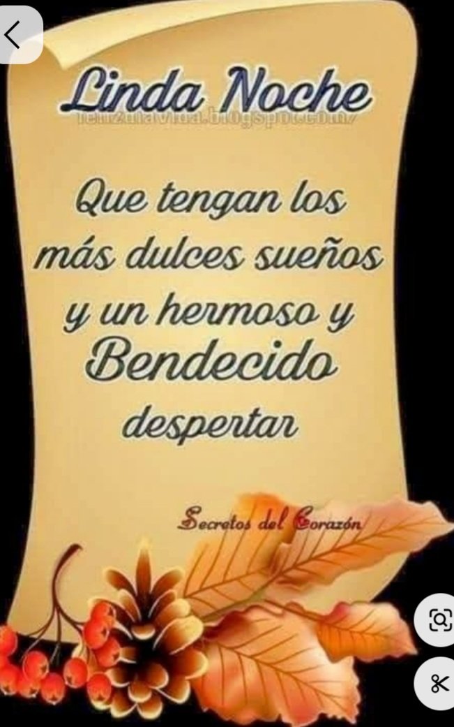 Feliz  descanso🙏
 ✨💤🌛✨💤⭐✨💤🌛