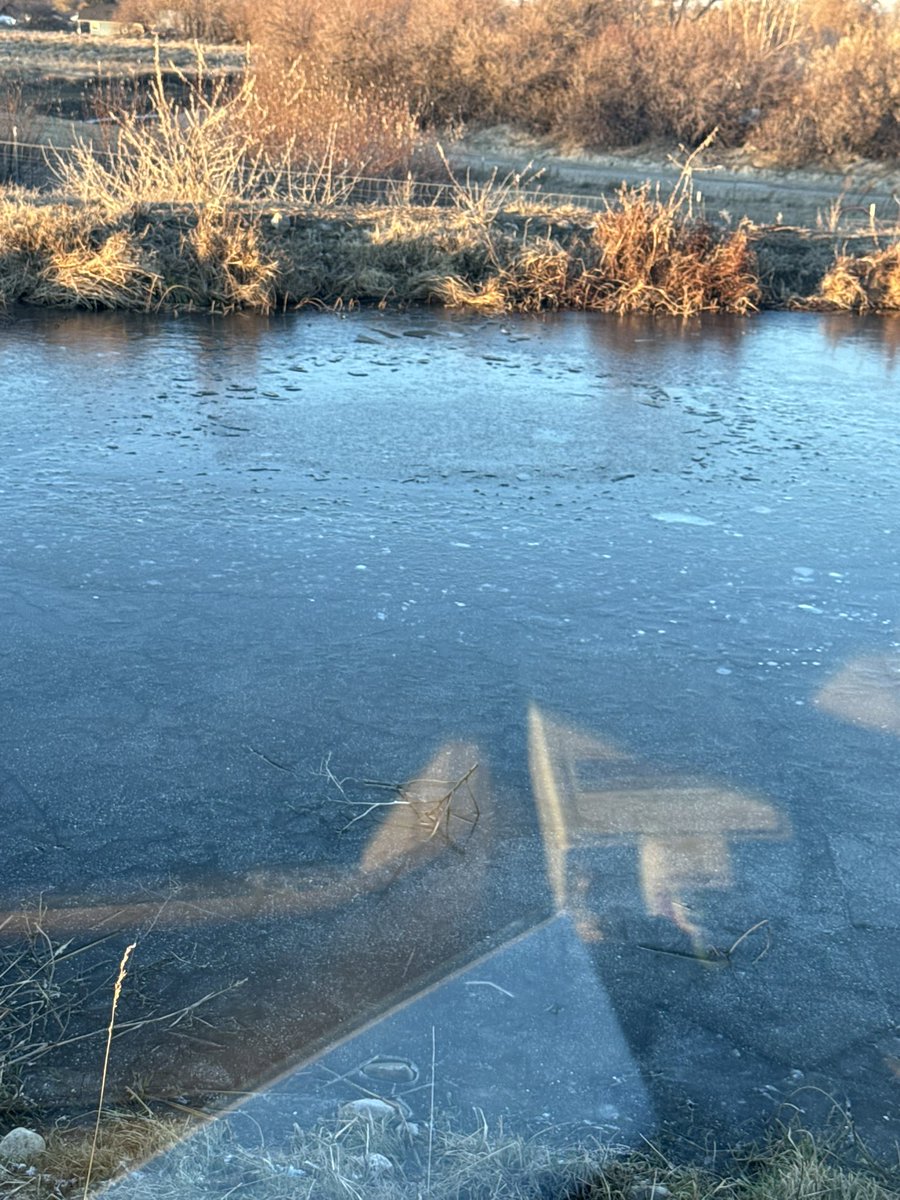 Griffin Hanberg tweet media