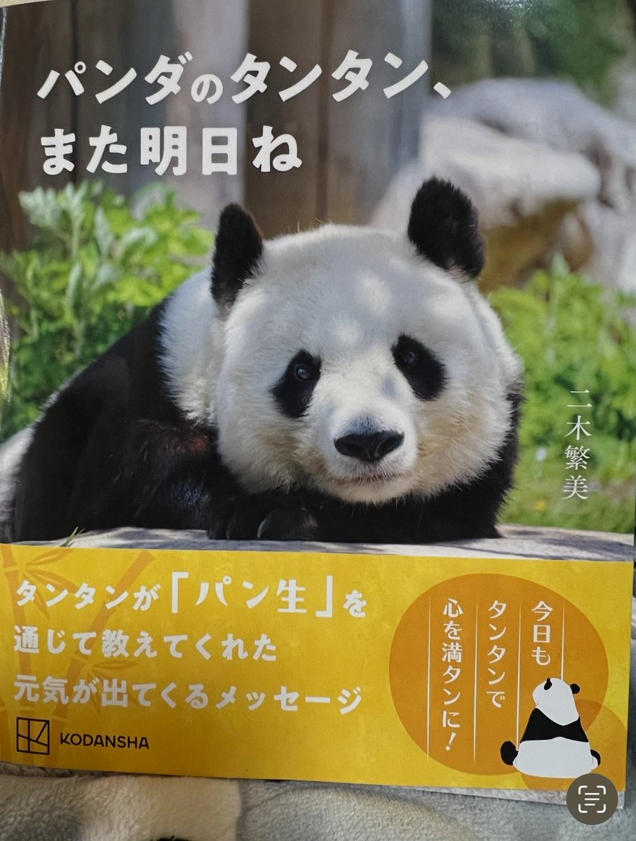 我が家にもお嬢さまがやってきましたが、花粉が一気に酷くなり…でも、元気づけられる言葉がたくさん💕
そして、最後の最後に、こんなところに…という2人が🐼🐻‍❄️😭
二木さん、素敵な本をありがとうございます🥰🐼