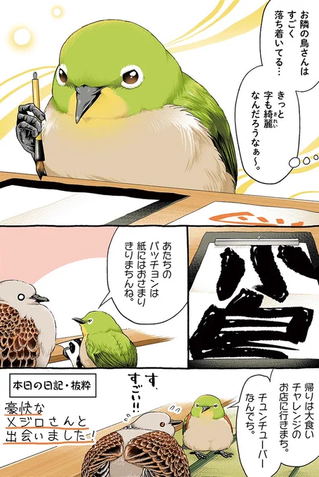 書道教室に行くキジバトくん【2/3】 