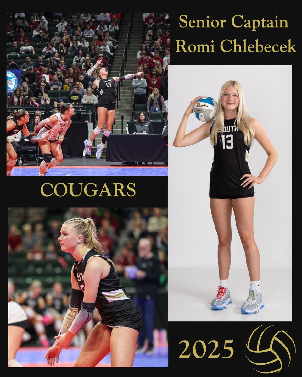 Lakeville South Volleyball tweet media