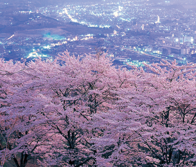 #首都圏 の #お花見スポット
をピックアップしました✨
満開の桜が待ち遠しいですね☺️

🌸江川せせらぎ緑道｜神奈川県・横浜市
🌸小見川城山公園｜千葉県・香取市
🌸熊谷桜堤｜埼玉県・熊谷市
🌸美の山公園｜埼玉県・秩父市、皆野町

jalan.net/news/article/5…