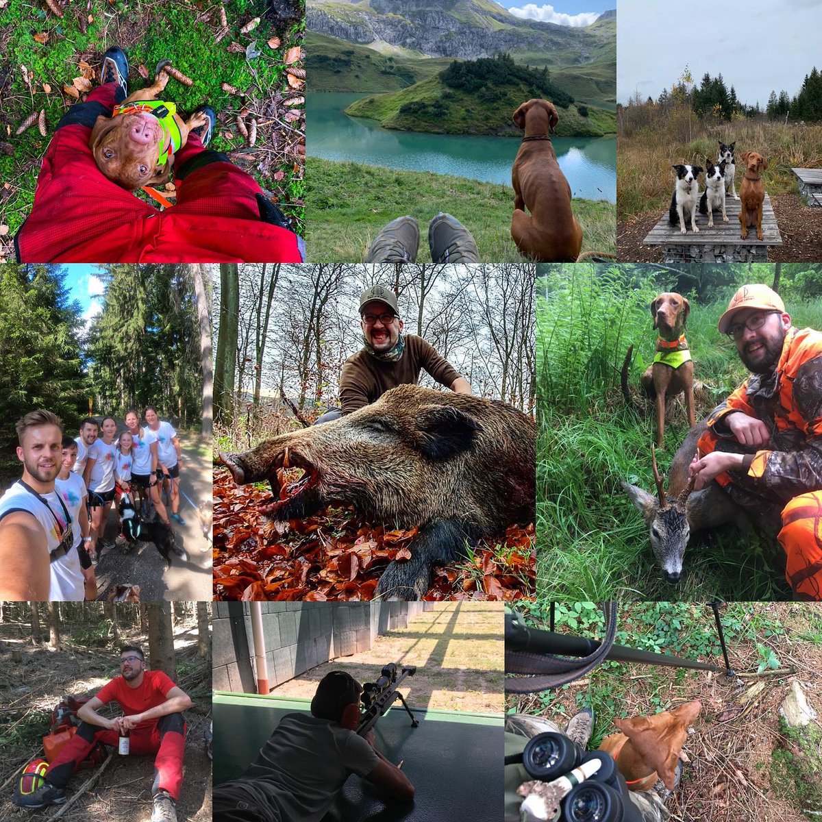 QuestOfTheWild's tweet photo. Great moments with friends, new connections, Canicross challenges, and epic mountain tours. All in all?Damn good #DogAdventure #FitnessFun #NatureIsCalling #HikingWithFriends #CanicrossLife #EpicViews #MountainExploration #OutdoorActivities #FitnessGoals #AdventureSeekers https://t.co/Ou8Cz7MhgI