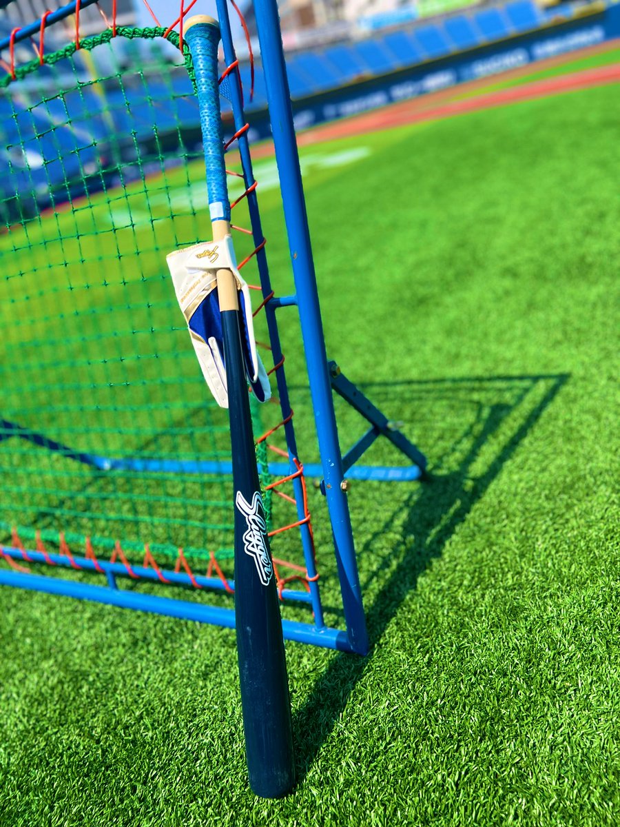 田中浩康　現役時代のバット　85センチ ノックバットはスラッガー社製で91cm。 短めがポイントです。 #7つ道具