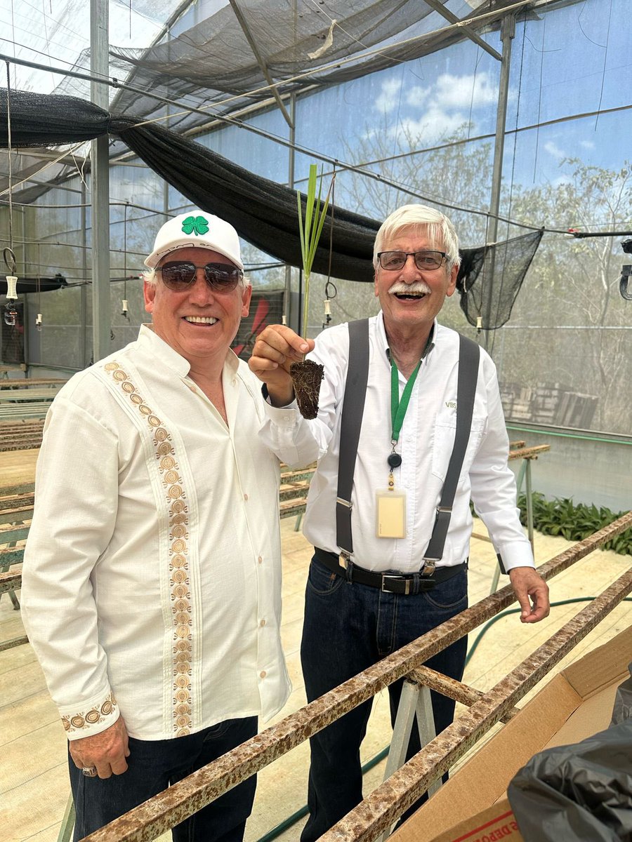 Víctor Villalobos Arámbula tweet media