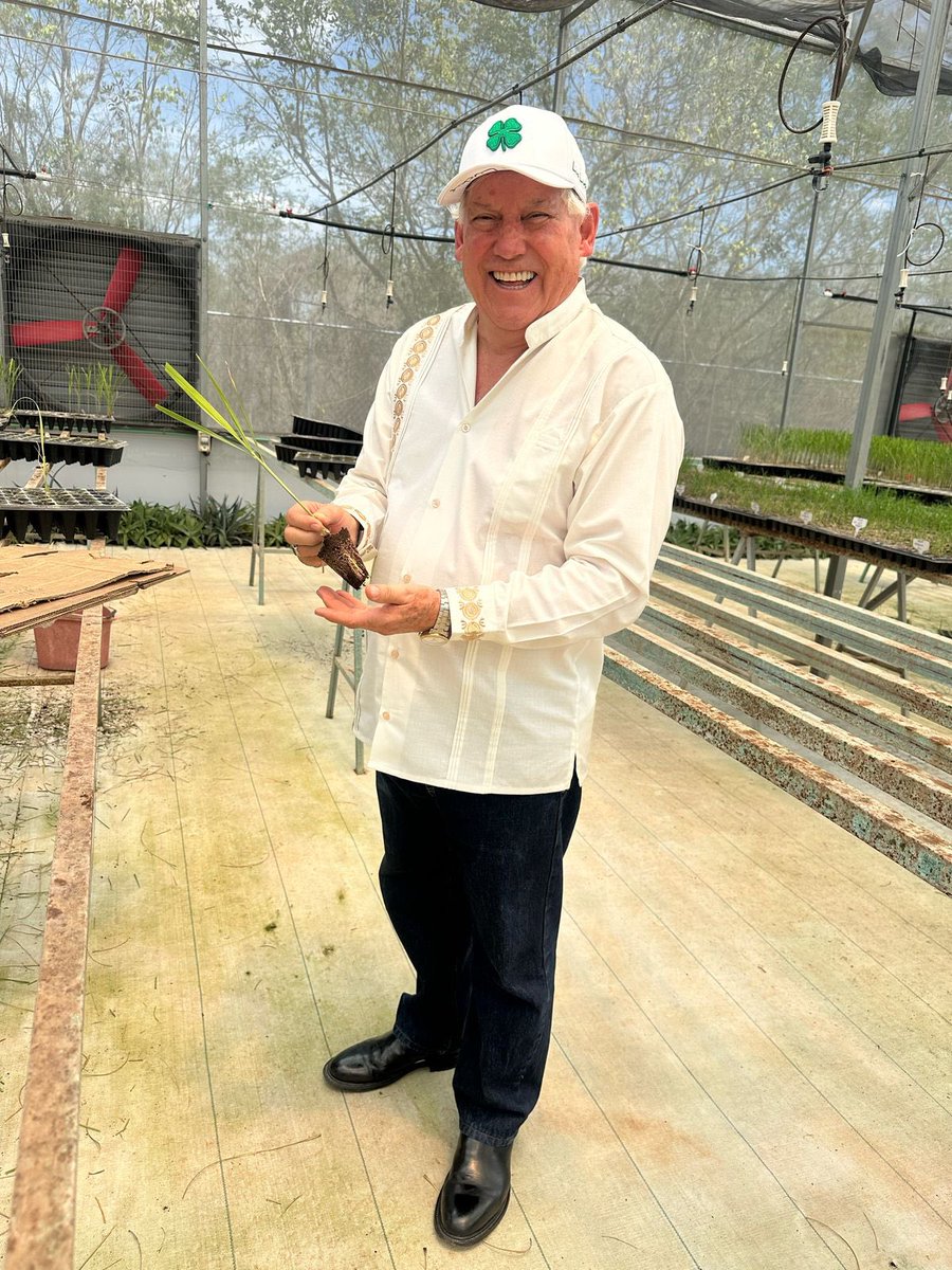 Víctor Villalobos Arámbula tweet media