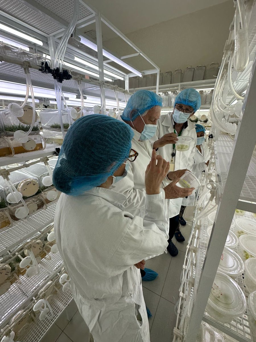 Víctor Villalobos Arámbula tweet media