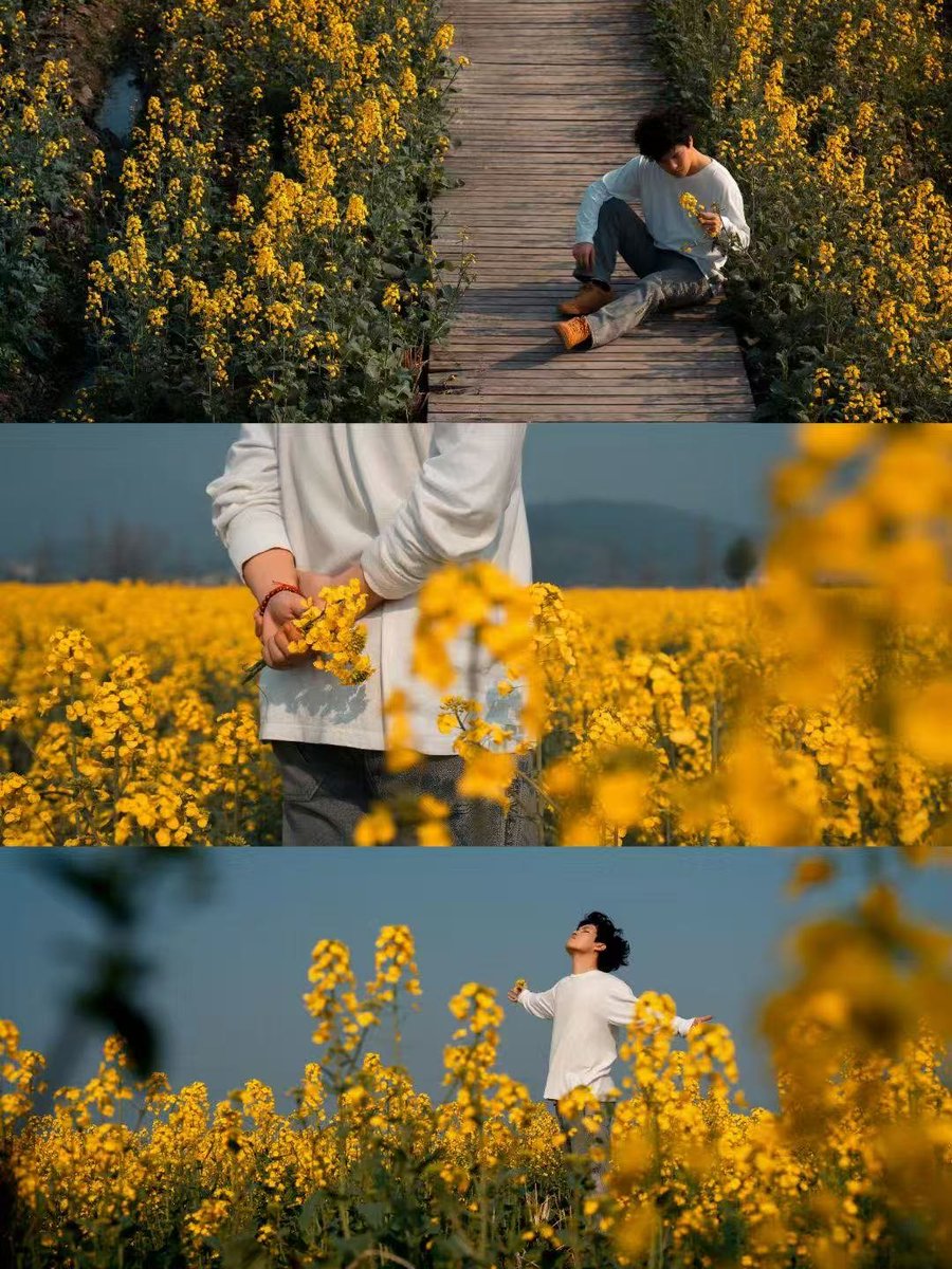 ailuqiao123's tweet image. Squat down to gently touch the petals, stand up to embrace the breeze, and indulge in this picturesque spring scenery. Every second is pampered by the romance of spring!
#RapeseedFlowerSea #SpringBeauty #RomanticSpring