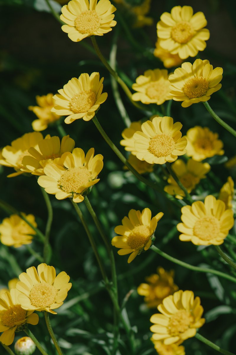 akimoto_0109's tweet image. in the life.