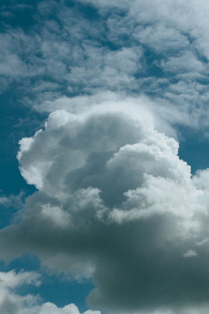 akimoto_0109's tweet image. in the life.