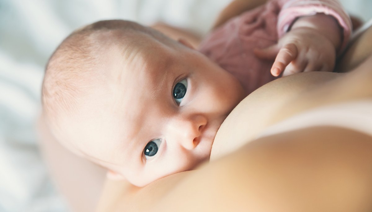 Informed decisions about medicines during #breastfeeding require evidence of how chemical compounds are transferred to milk. The ConcePTION #InVitro models offer the possibility to screen the milk transfer of medicines in early drug development stages 💊

tinyurl.com/uty7xdy8