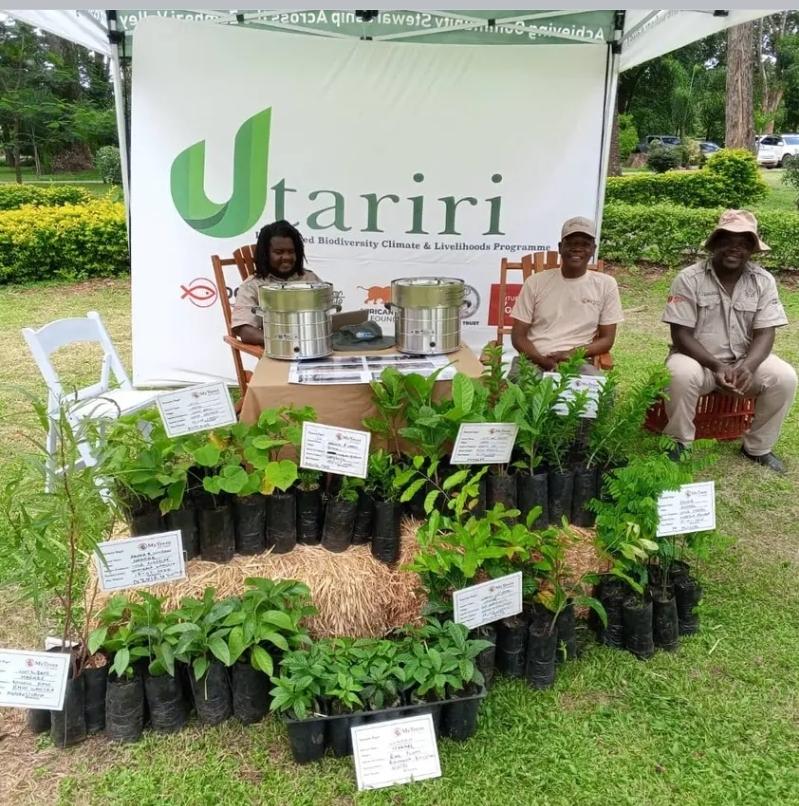 The Utariri Programme tweet media