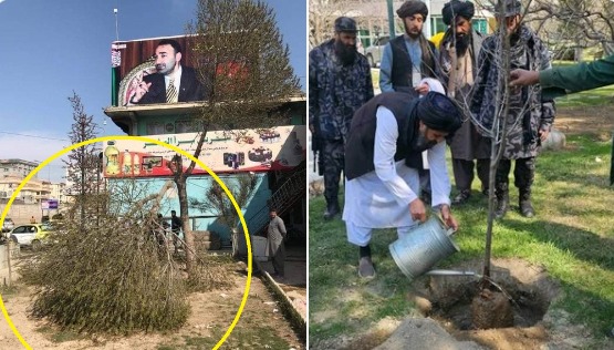 څومره توپیر دی په انسان کې د مانا په لحاظ
واړه لګیا دي، ځینې ځان ځینې جهان جوړوي