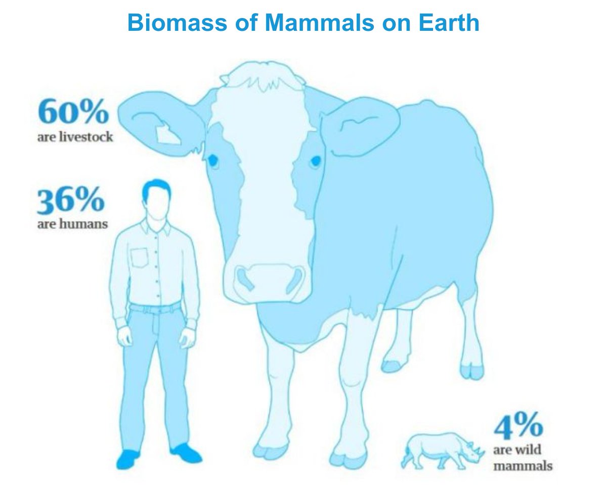 Some facts just stop you in your tracks. Here's one about #nature:

Humanity and our livestock now represent 96% of mammals on Earth by biomass. All other wild mammalian species comprise a mere 4%.
We discuss it in our latest podcast on #food lnkd.in/eRzM7sqd