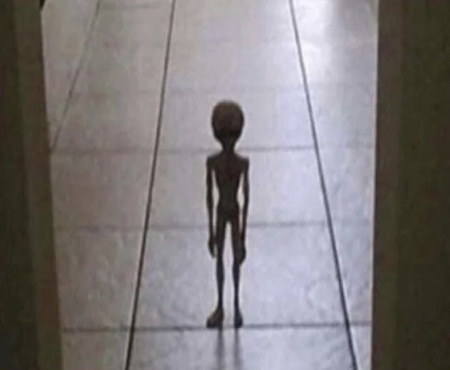 Ultra Labs tweet media