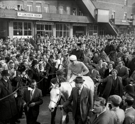OTD 1961 Nicholas Silver (28/1) became only the second grey horse to win the Grand National, (The Lamb in 1868 &amp; '71). Trained by Fred Rimell &amp; ridden by Bobby Beasley won by 5 lengths from 1960 winner, Merryman II, O'Malley Point &amp; Scottish Flight in 4th. 🏇#RacingMemories