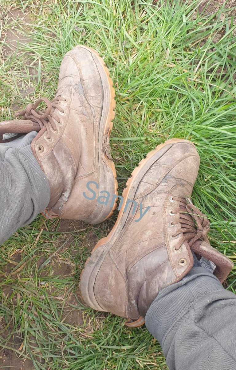 Sanny15194194's tweet photo. Abgabe bereit...
#abgabebereiteschuhe #getrageneschuhe #fetischschuhe #getrageneschuhfetisch #getragenealltagsschuhe #tragefrei #fetisch #fetischsocken #fetischschuh #fetischwäsche #fetisch #fussfetisch #Fußfetisch #schuhsub #schuhfetisch https://t.co/xGPmDCD2ml