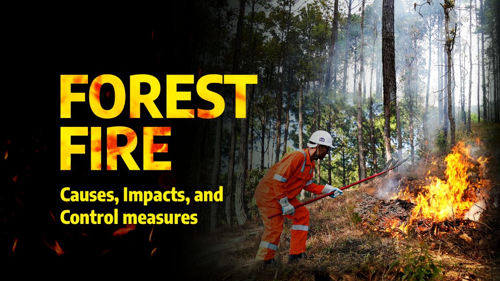 ForestAction Nepal (@forestactionnp) on Twitter photo Forest fires endanger wildlife 🌿🦌, communities 🏡, and our planet 🌍.
Watch our video 🎥 causes, impacts and control measures of Forest Fire. Let’s act now! 🚒
Video Link: youtu.be/hSau3HQaqZA?si…
<a href="/dfat/">Department of Foreign Affairs and Trade 🇦🇺</a>
#Forestfires #Forests #Forestfiremanagement Forest fires endanger wildlife 🌿🦌, communities 🏡, and our planet 🌍.
Watch our video 🎥 causes, impacts and control measures of Forest Fire. Let’s act now! 🚒
Video Link: youtu.be/hSau3HQaqZA?si…
<a href="/dfat/">Department of Foreign Affairs and Trade 🇦🇺</a>
#Forestfires #Forests #Forestfiremanagement