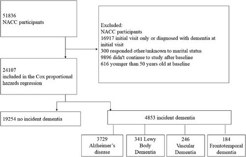 SciencNews's tweet image. Marital status and risk of dementia over 18 years: Surprising findings from the National Alzheimer&apos;s Coordinating Center

alz-journals.onlinelibrary.wiley.com/doi/full/10.10…